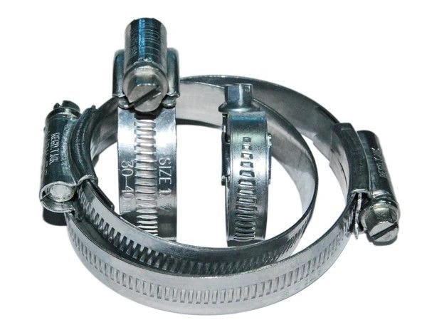 bimex6325079