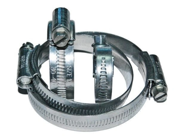 bimex6325159