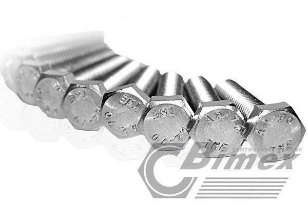 bimex6339723