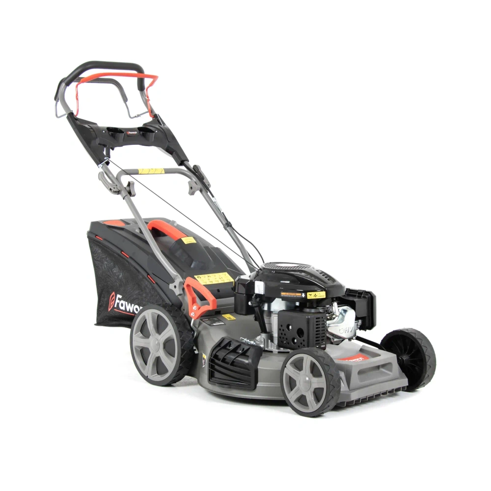 bimex6425368