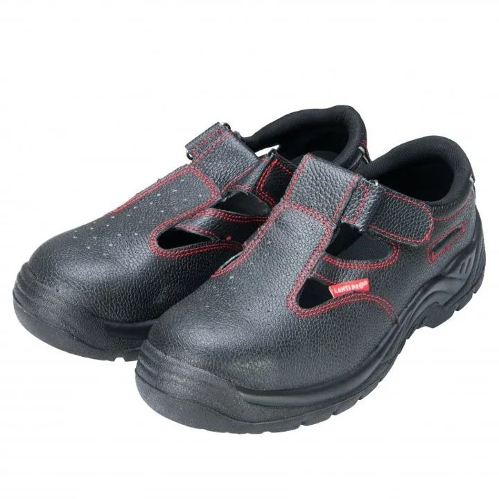domitech6510058