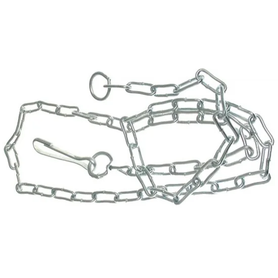 drillo6415981